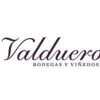 Bodegas Valduero logo