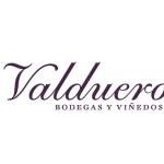 Bodegas Valduero logo