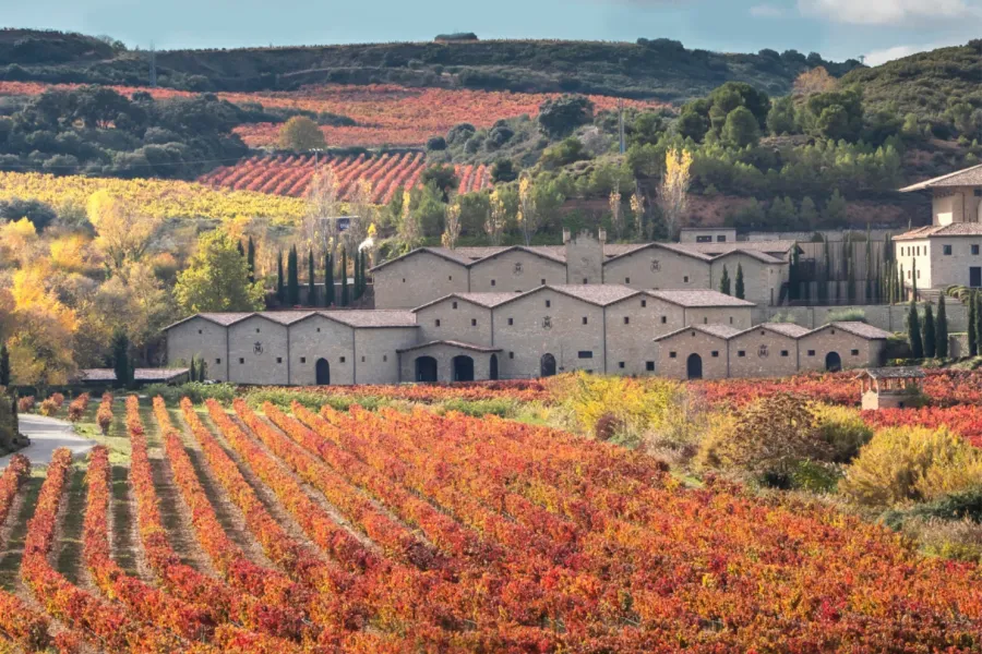 View of the estate of Marques de Murrieta in autumn 