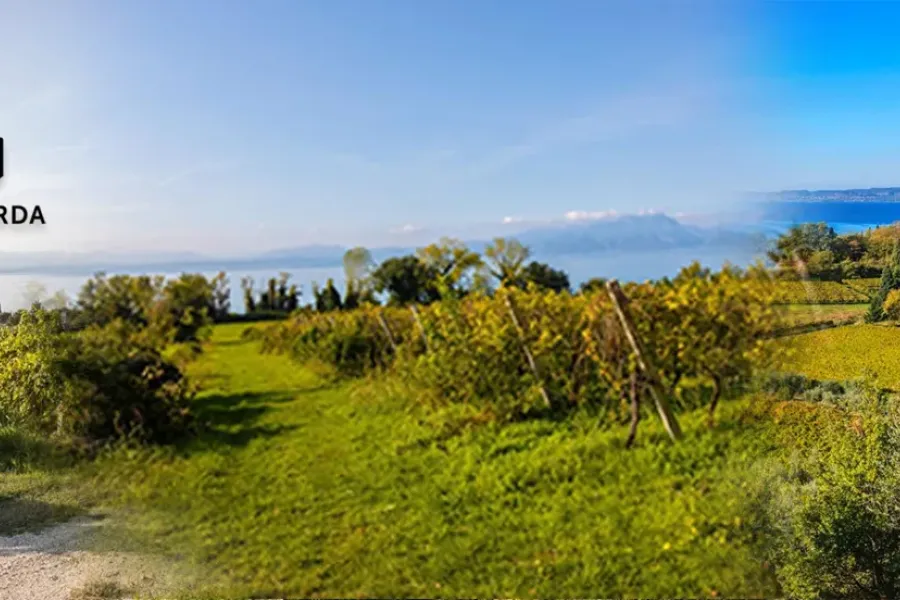 Cartina del garda with vies in the background 