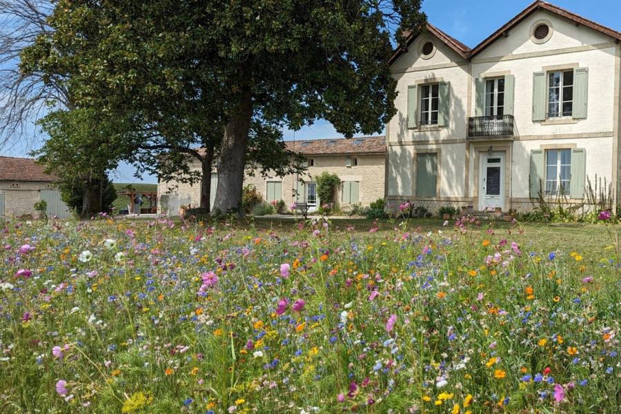 Front view of Chateau Astrelus garden 