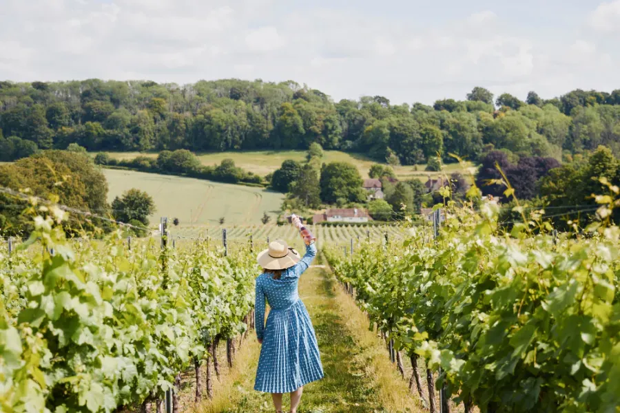 lady walking through vineyard with her hand in the air