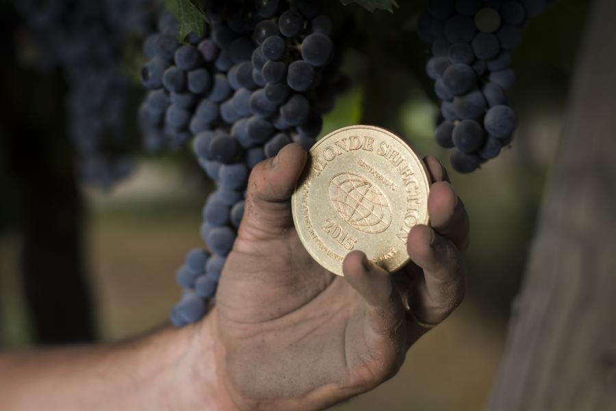 Hand holding a gold medal with grapes on the back