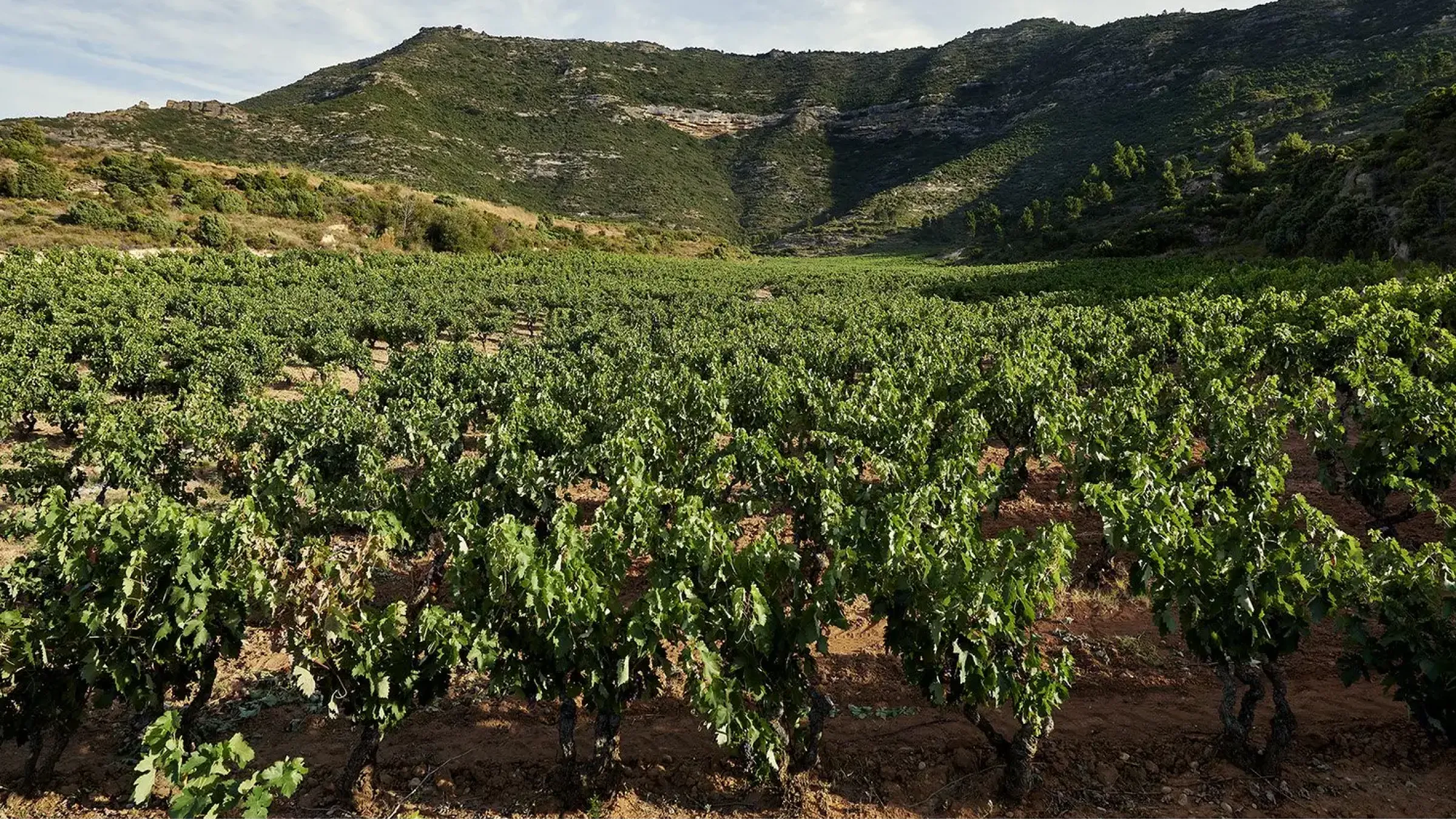view of the mountains in spain 