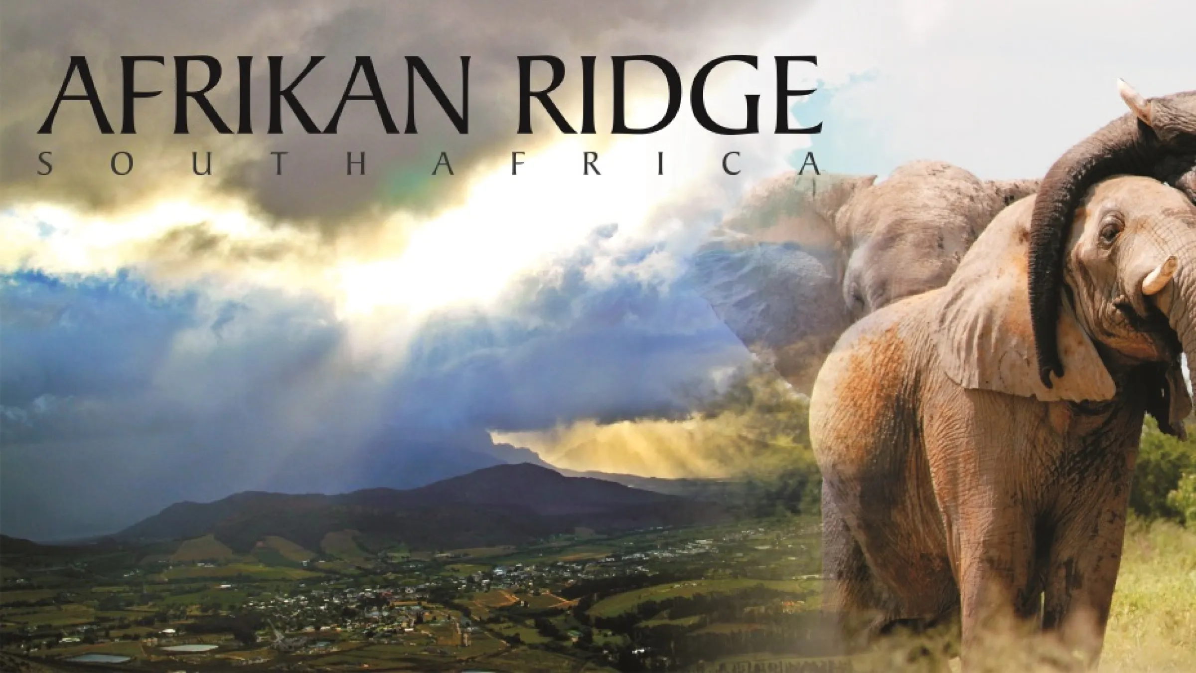 Collage of elefantas, the Afrikan Ridge logo and a view of mountains