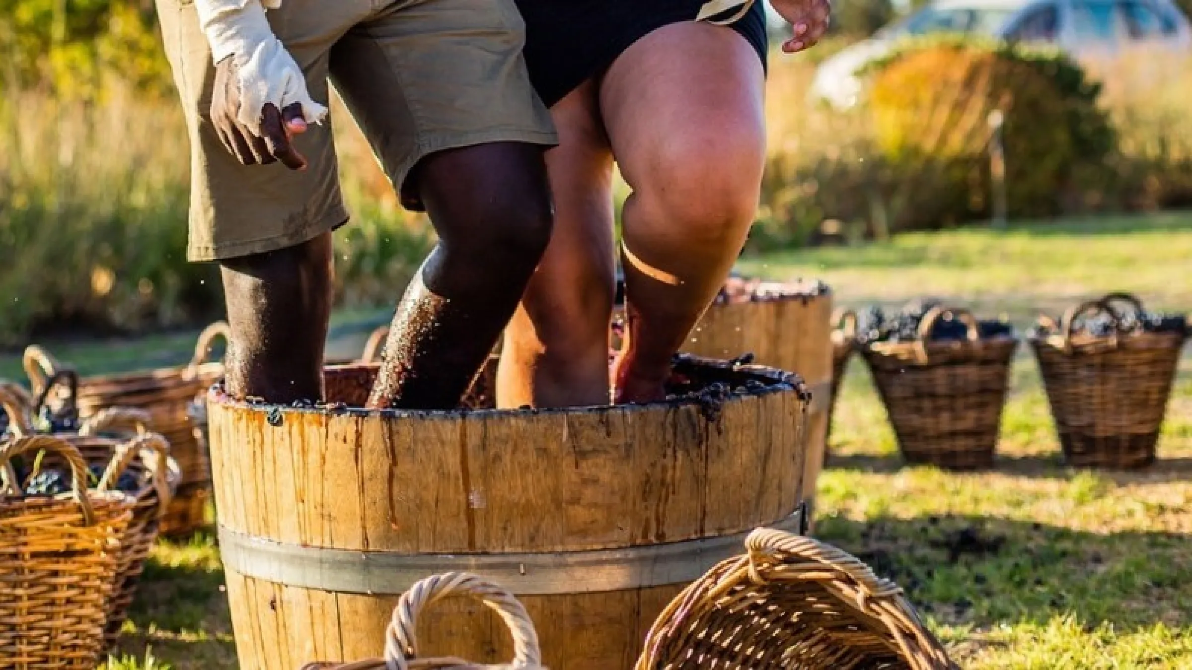 A bucket of grapes and people stepping on them