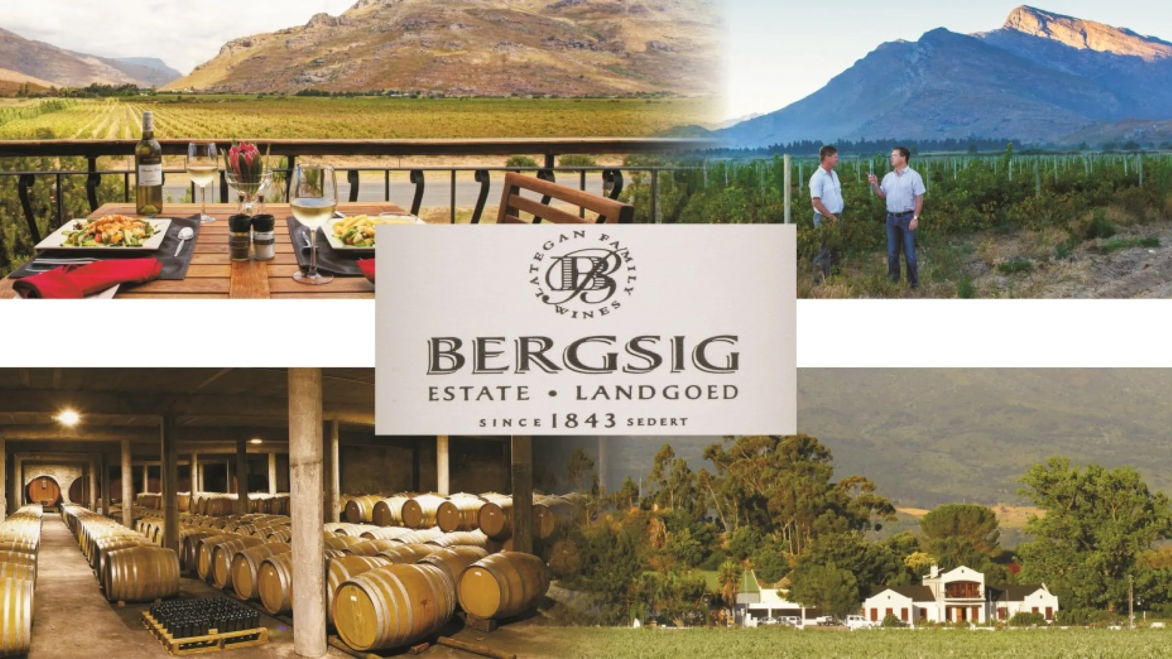 Collage of Bergsig barrels, lunch, vineyards and the estate