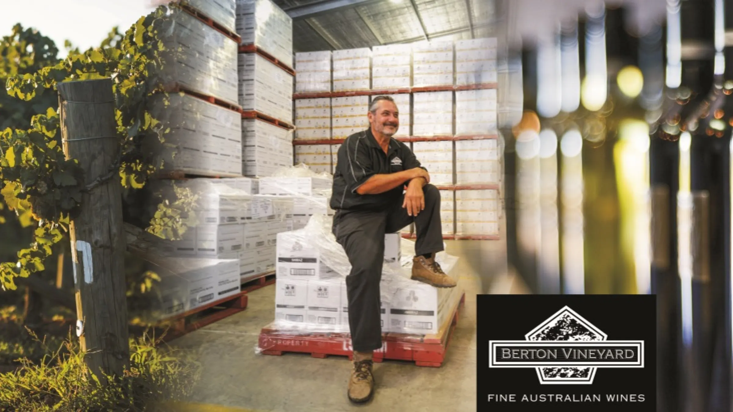 Collage of the fence, a person seated in products in a bodega and bottles of wine