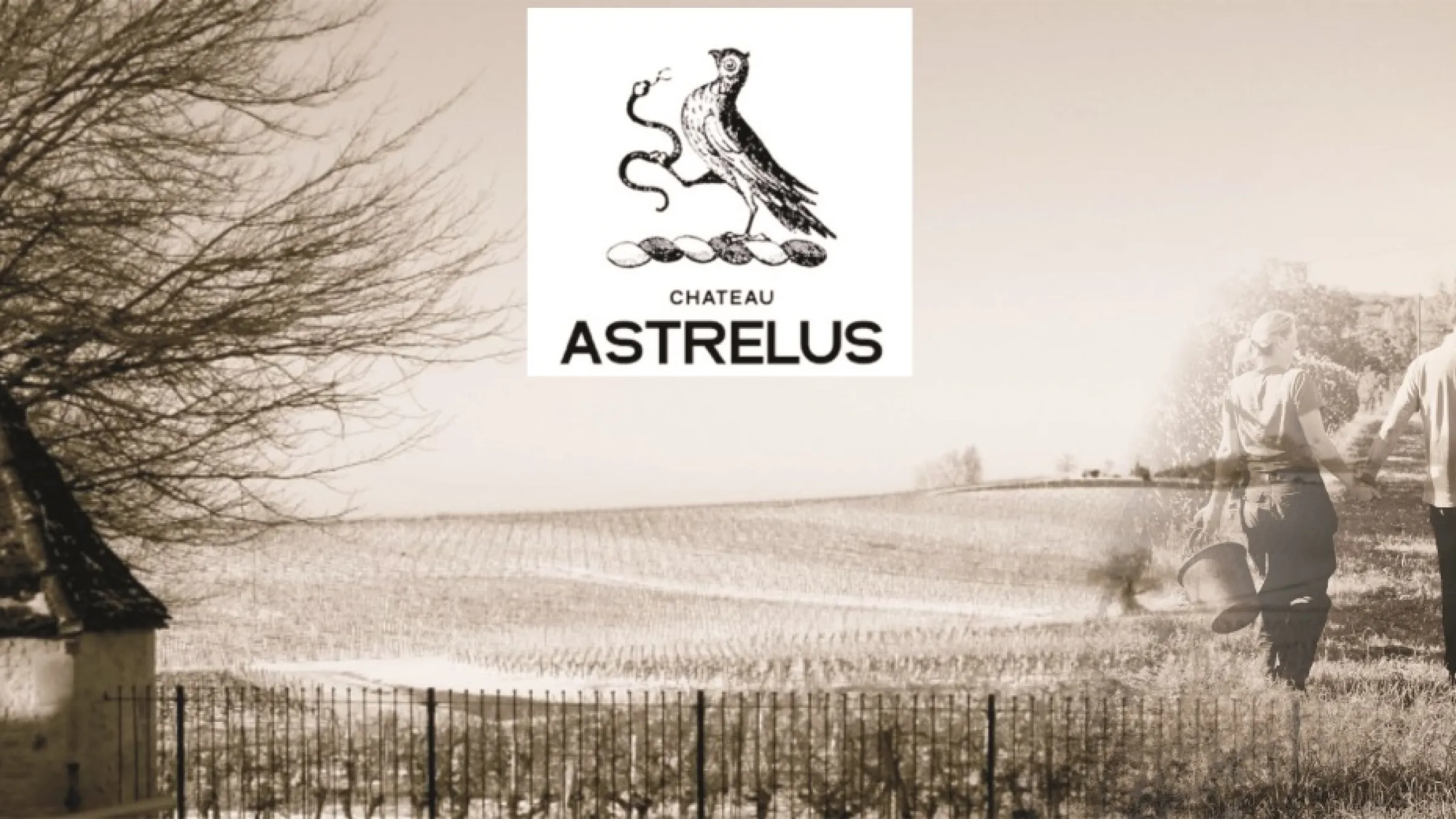 Chateau Astrelus collage with vineyard and a couple picking grapes