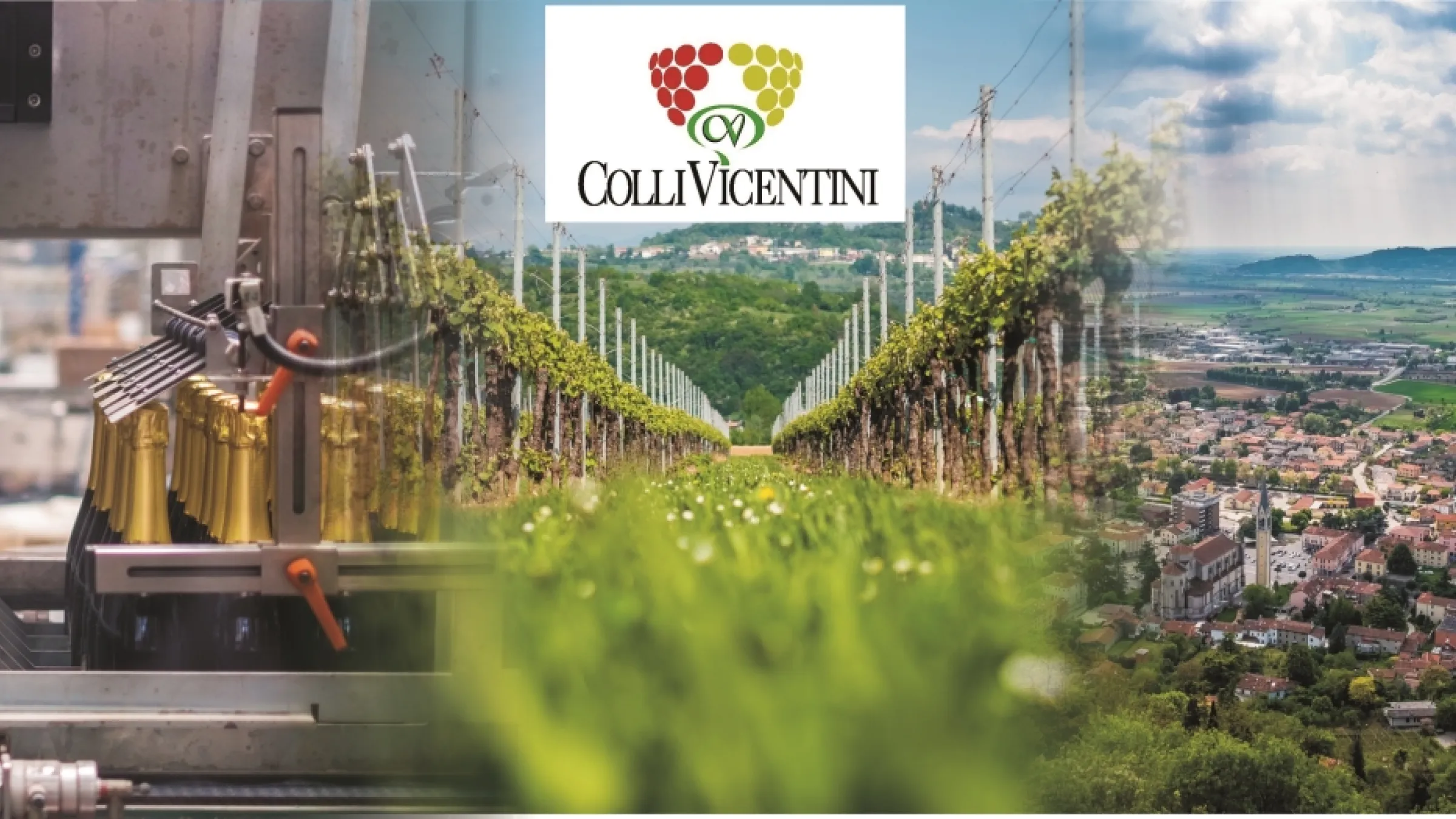Collage of Colli Vicentini production