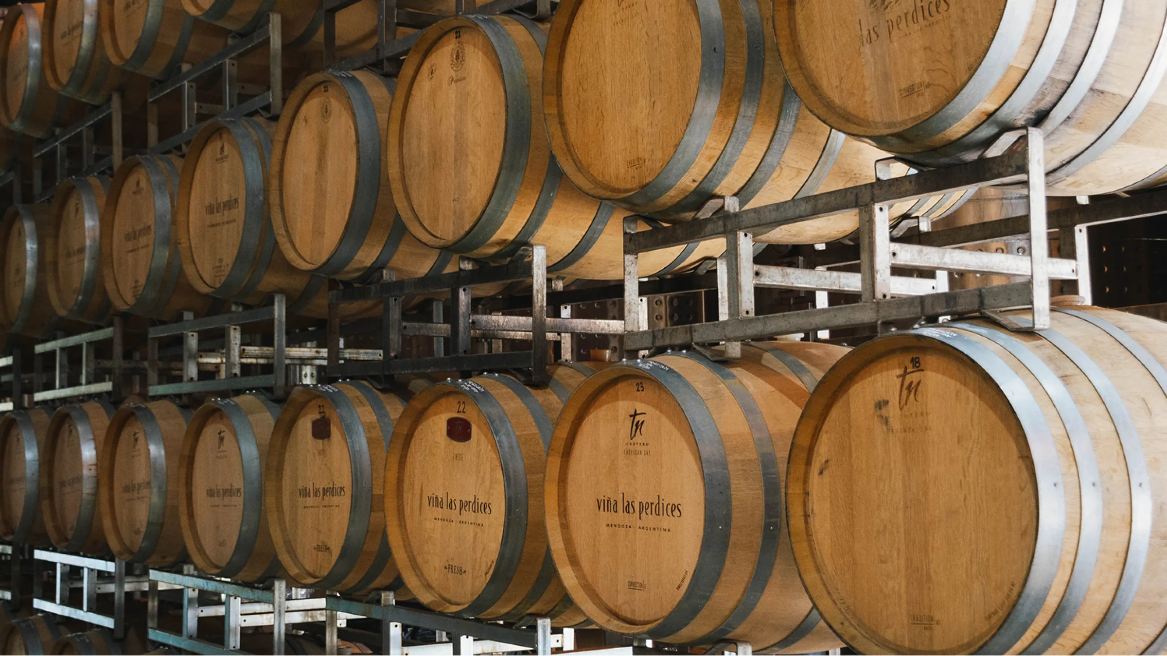 Barrels of wine piled in a cellar