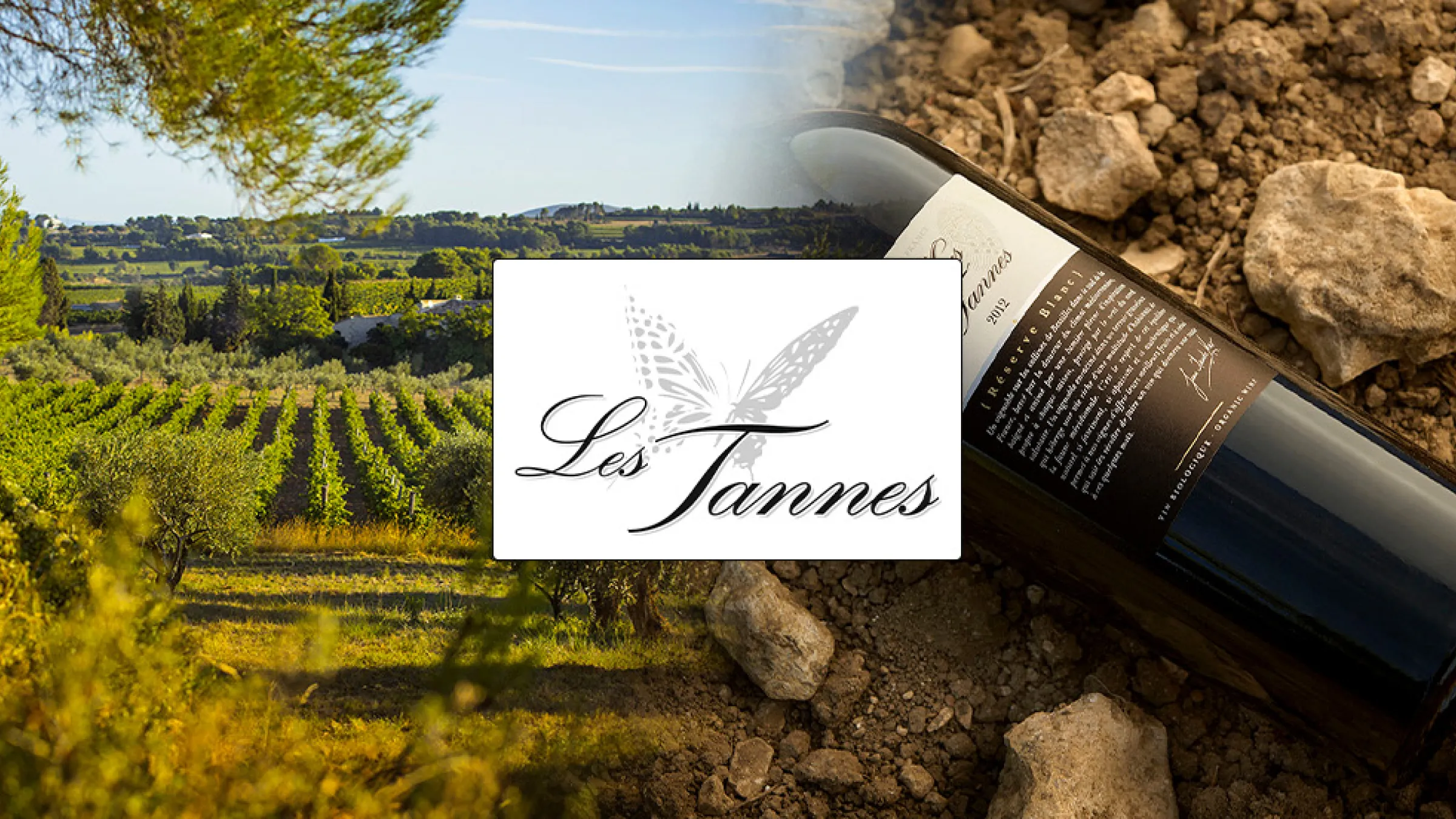 Collage of a vineyard, the logo of Les Tannes, and a bottle of wine surrounded by rocks