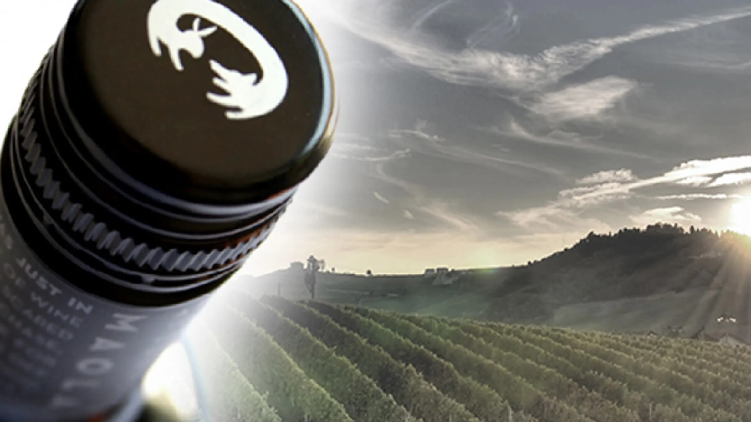 Maola Wines collage with a bottle and vine yard 