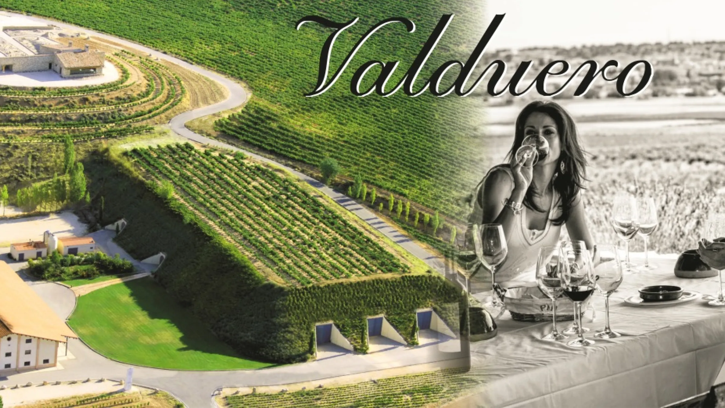 Collage of the eagle view of vineyards and people in a table with glasses of wine