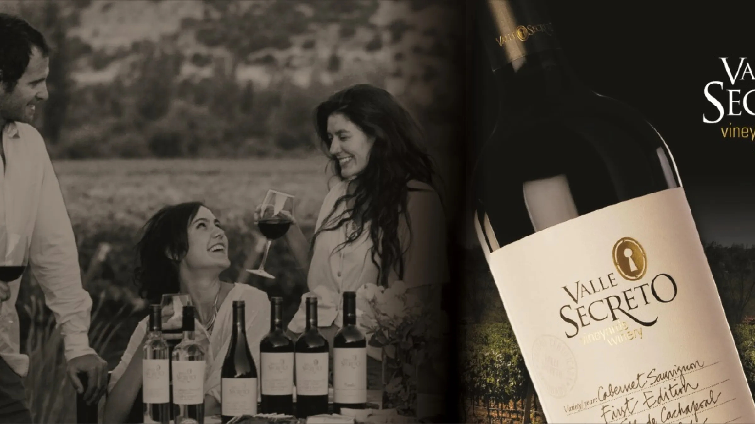 Collage of a Valle Secreto bottle and people laughing drinking wine