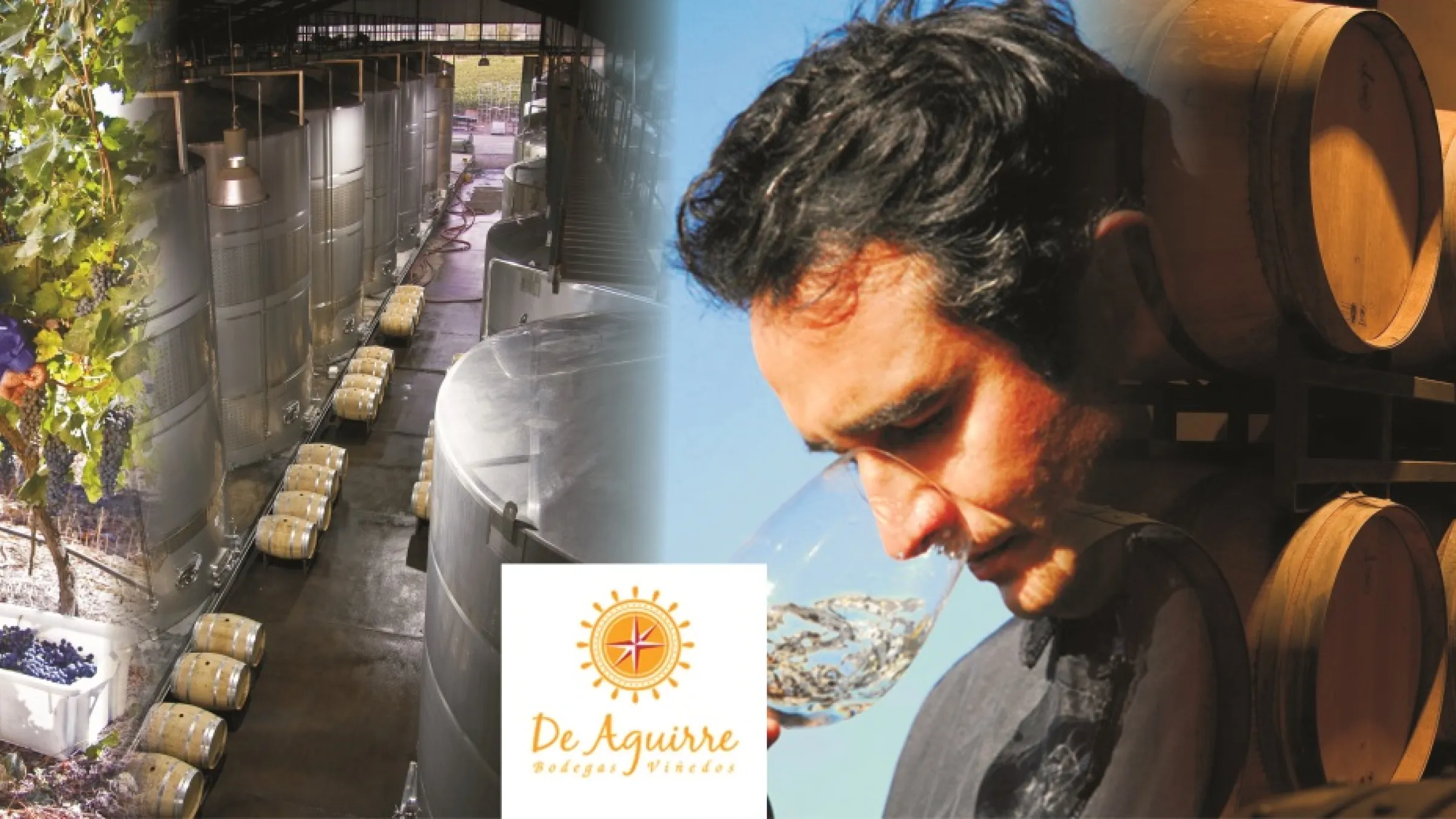 Collage of De Aguirre with grapes, barrels, a person with a glass of wine and barrels